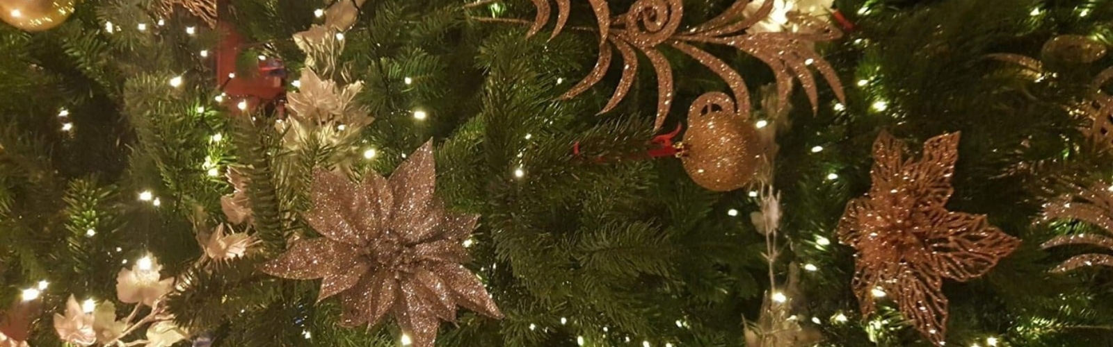 Festive